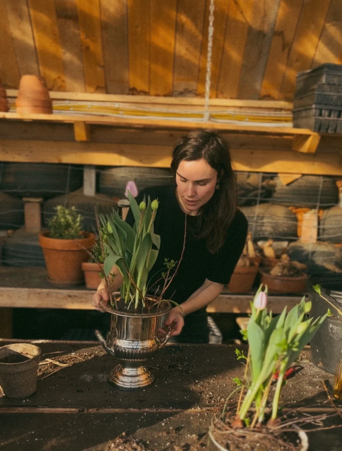 Comment rempoter tes tulipes hivernales pour un effet encore plus wow!