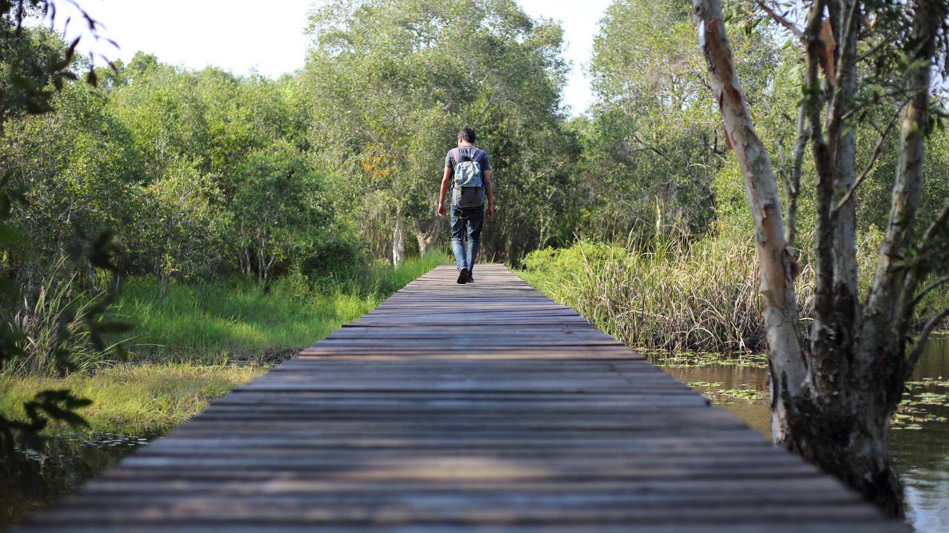 conscious business journey