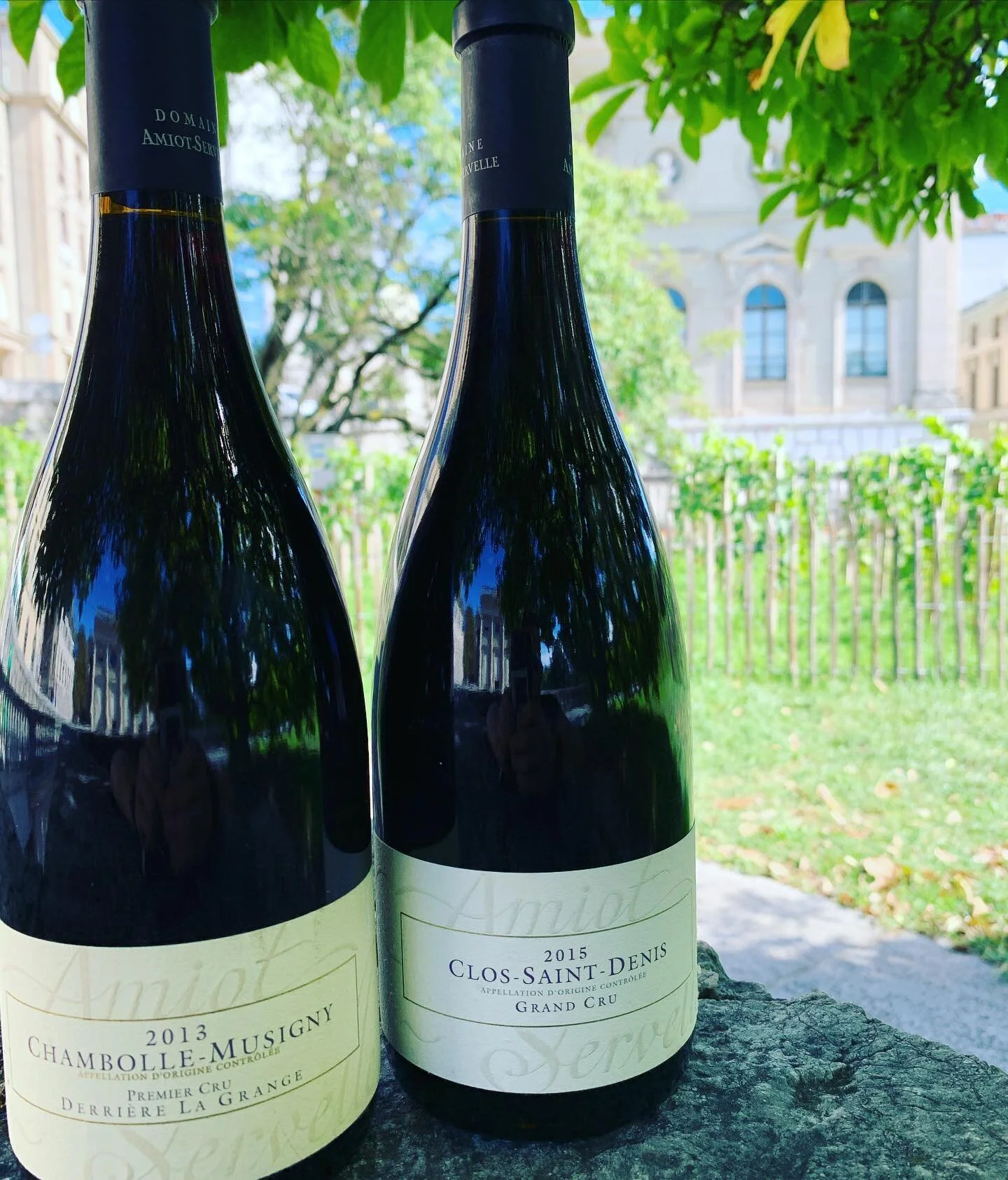  Retour de Bourgogne 🍷🍷🍷  