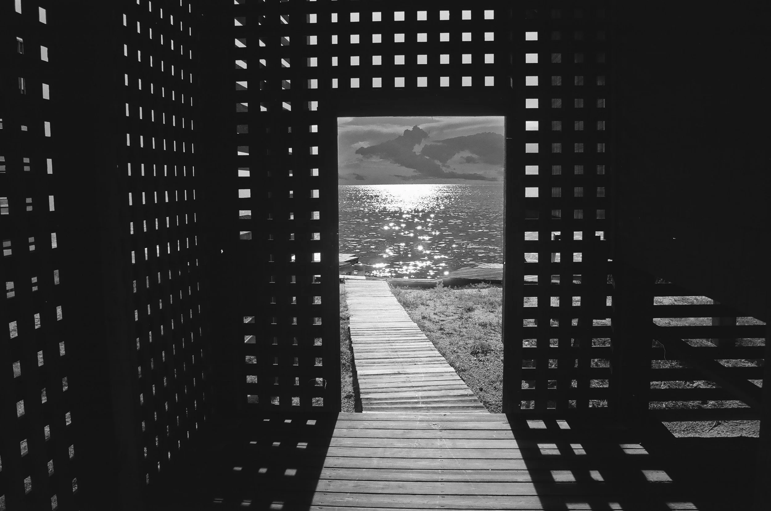 011 bliss.JPG