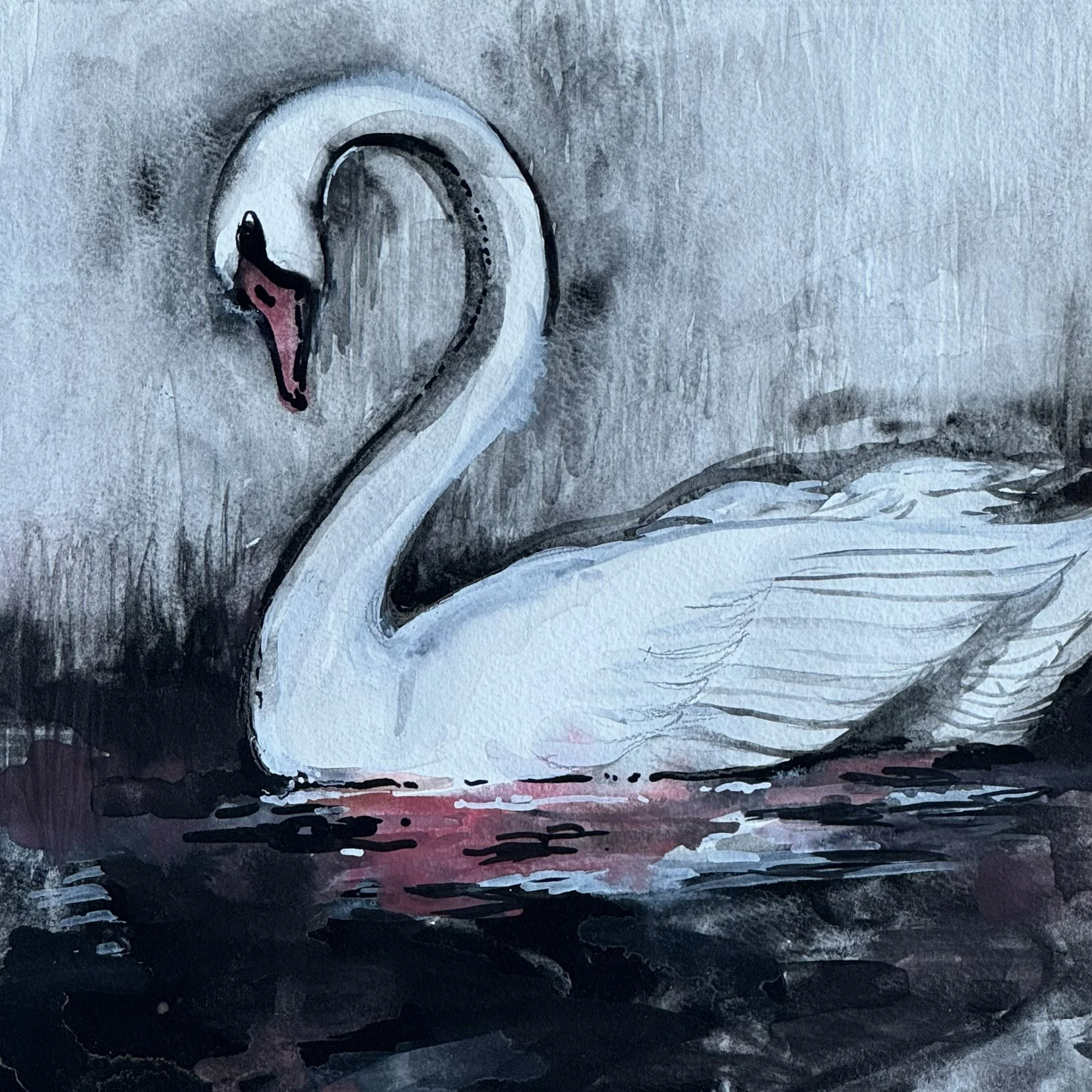 swan.jpeg