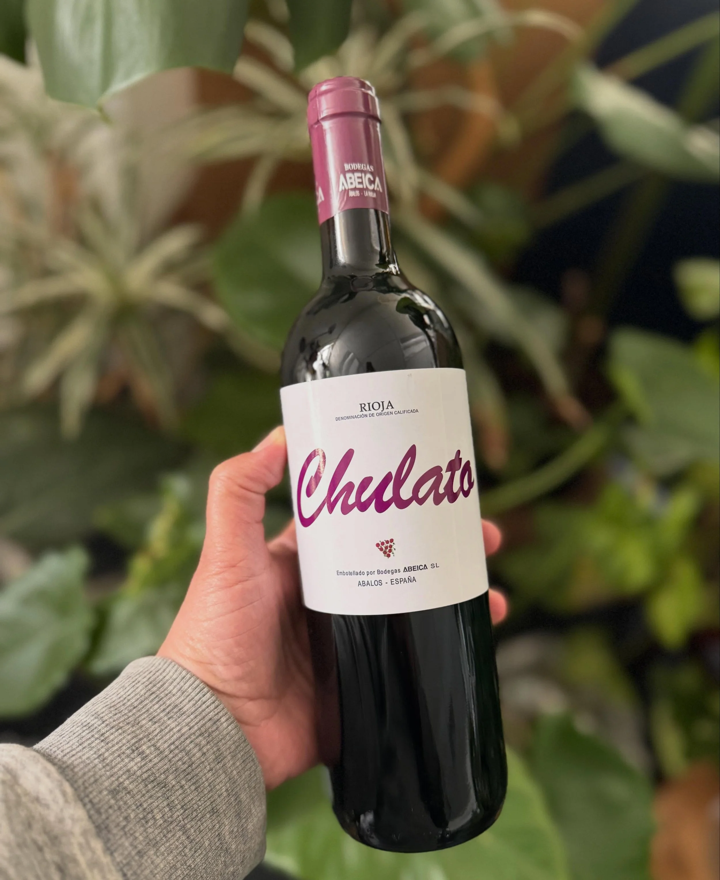 (Not a) hot take: carbonic Rioja is flippin&rsquo; delicious and should definitely be on your next shopping list. May we suggest this Bodegas Abeica Chulato&hellip;
