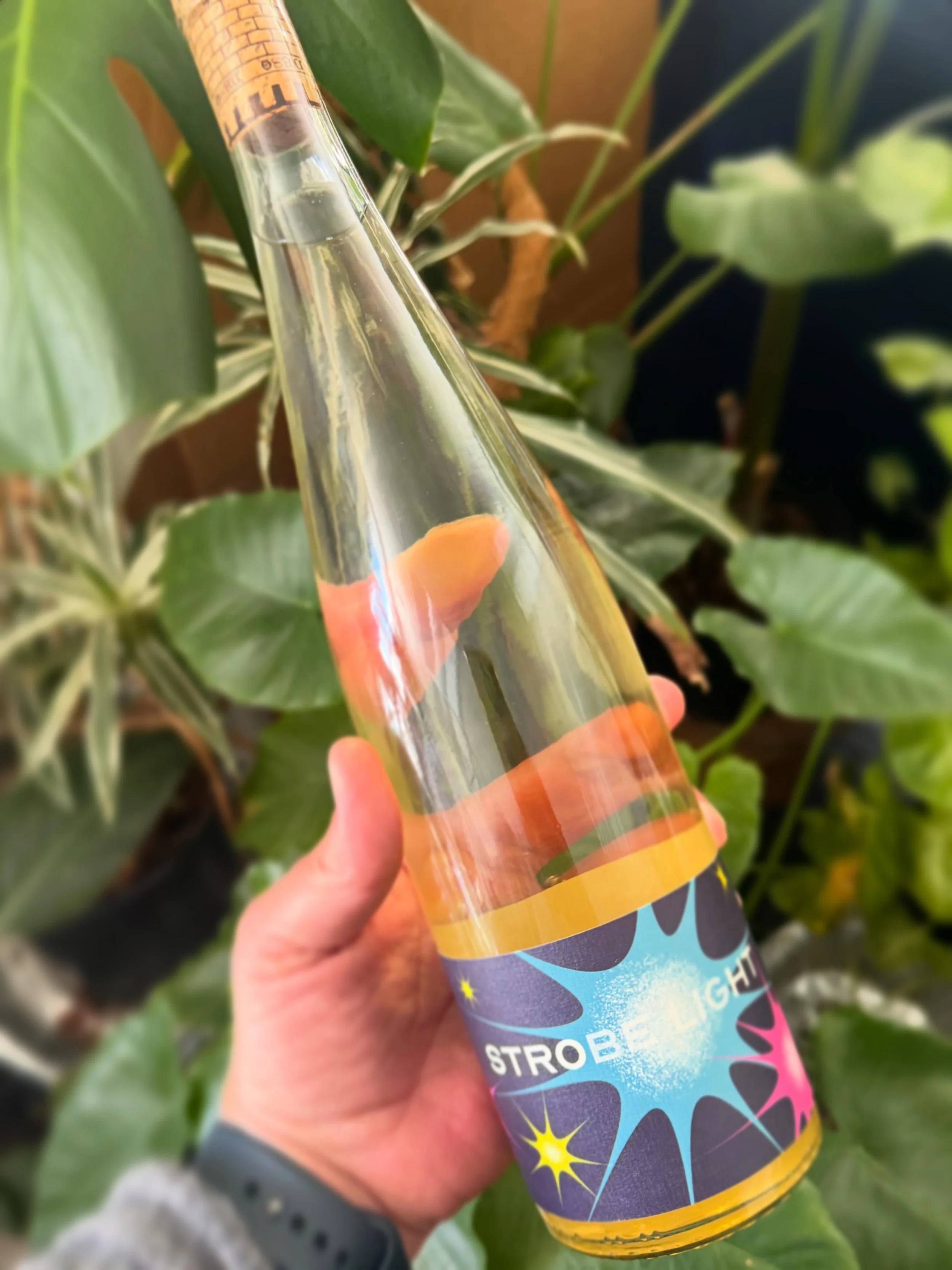 💥STROBELIGHT MUSCAT💥
Now in stock from Teutonic Wine Co. Same delicious wine, awesome new label!