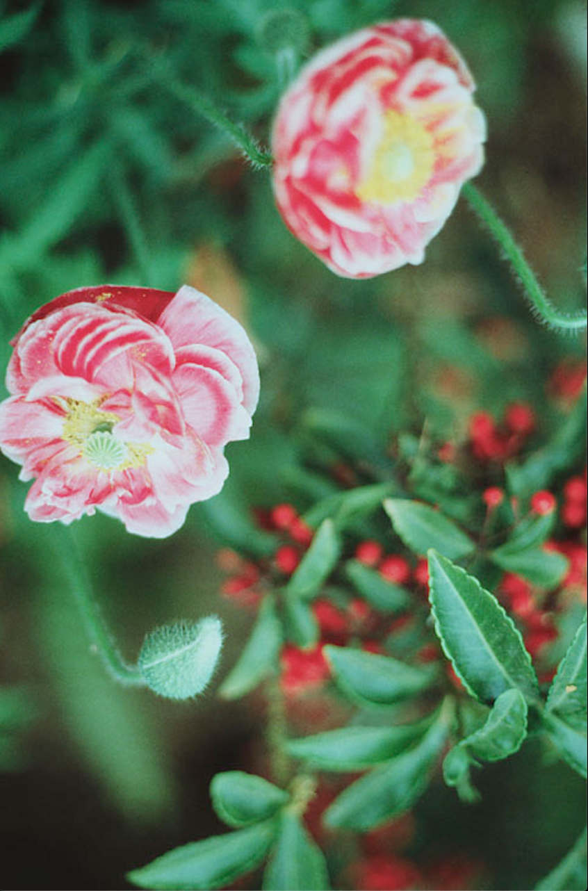 Screen Shot 2020-08-21 at 1.56.51 PM.png