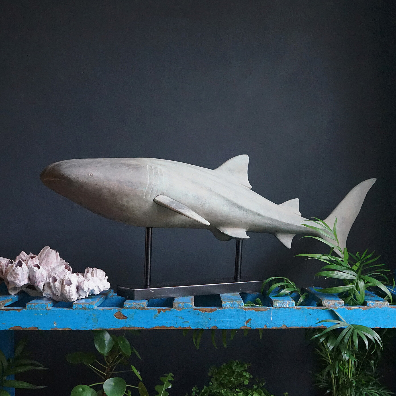 Vintage Museum Model of a Whale Shark