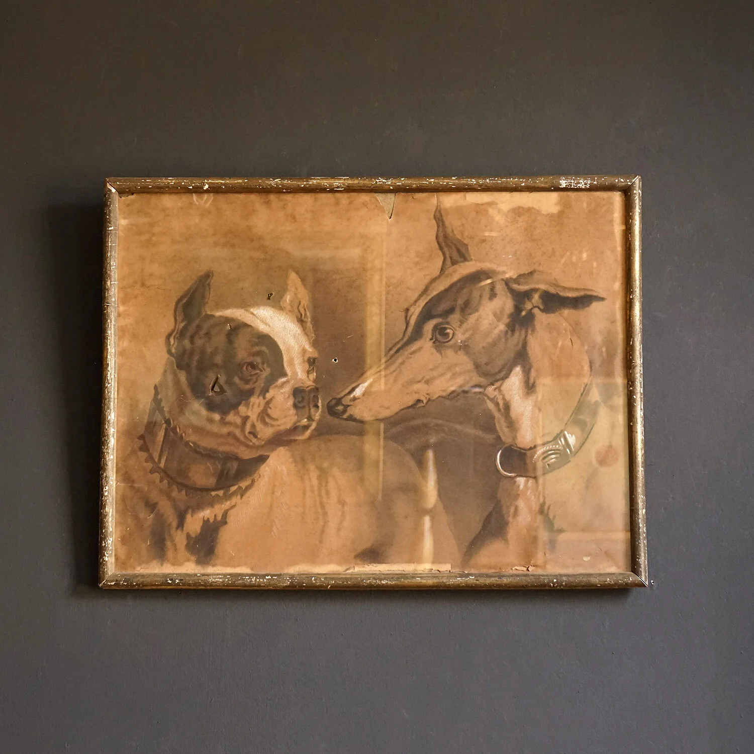 Drawing of a French Bulldog and a Greyhound, Early 20th Century