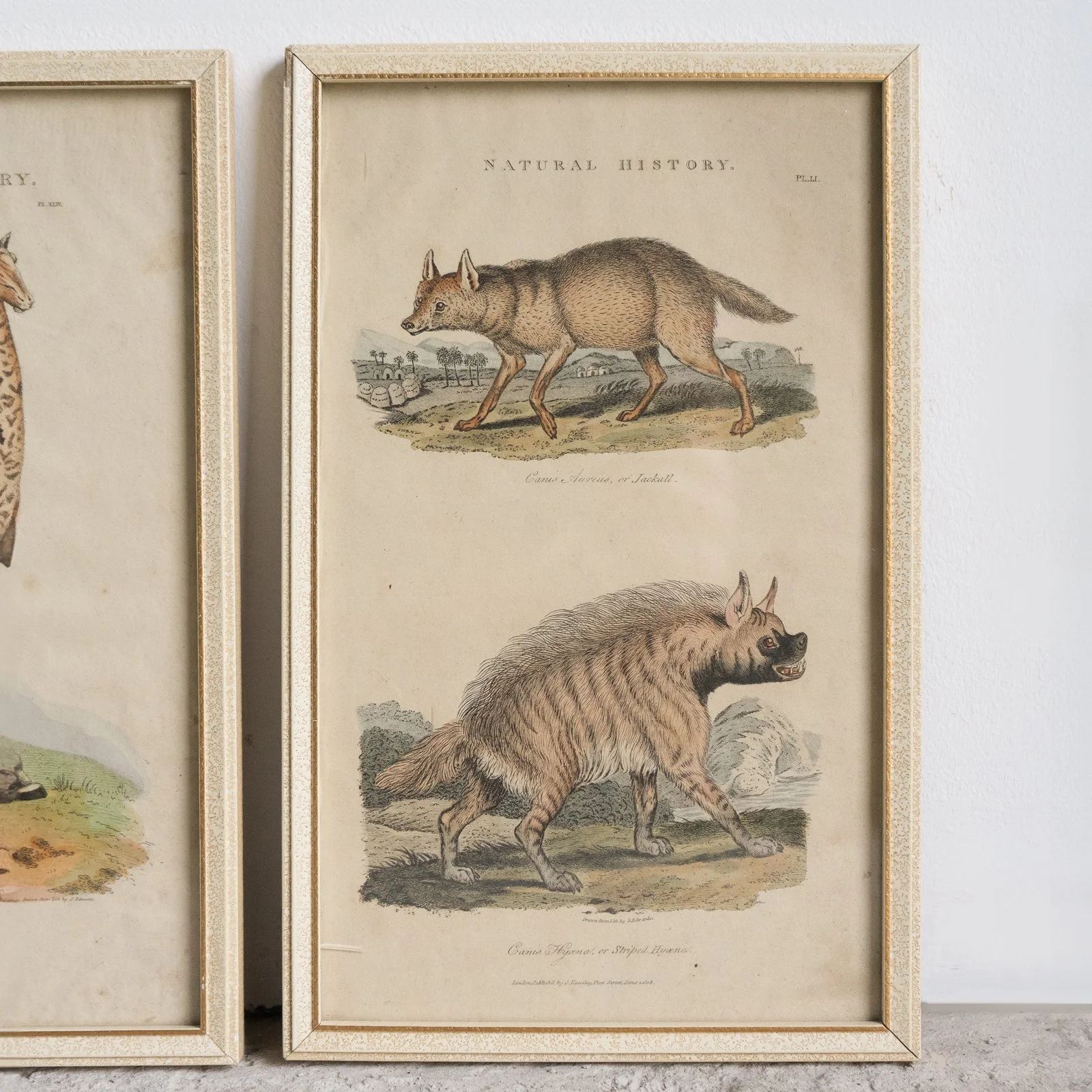 DSC09758-copy-alt.jpg (Copy)