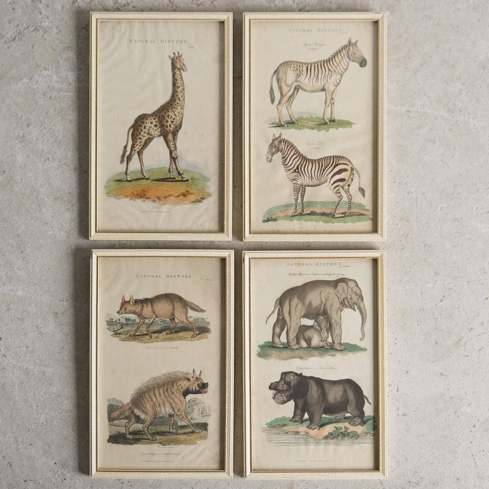 DSC09770-floor.jpg (Copy)