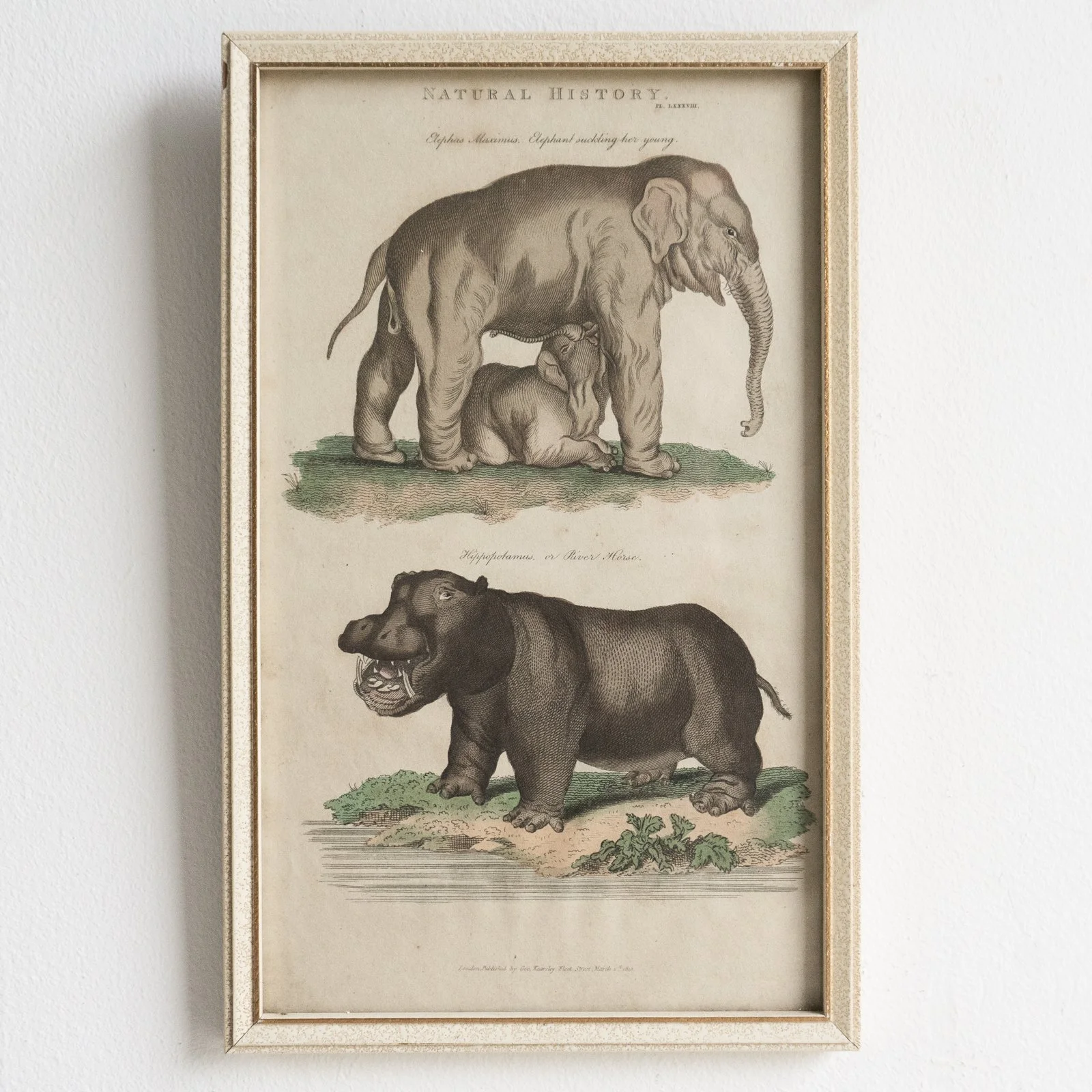 DSC09783-alt-3.jpg (Copy)