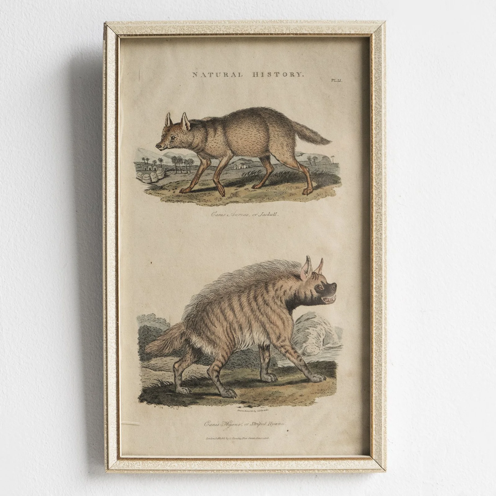 DSC09789f-alt-2.jpg (Copy)