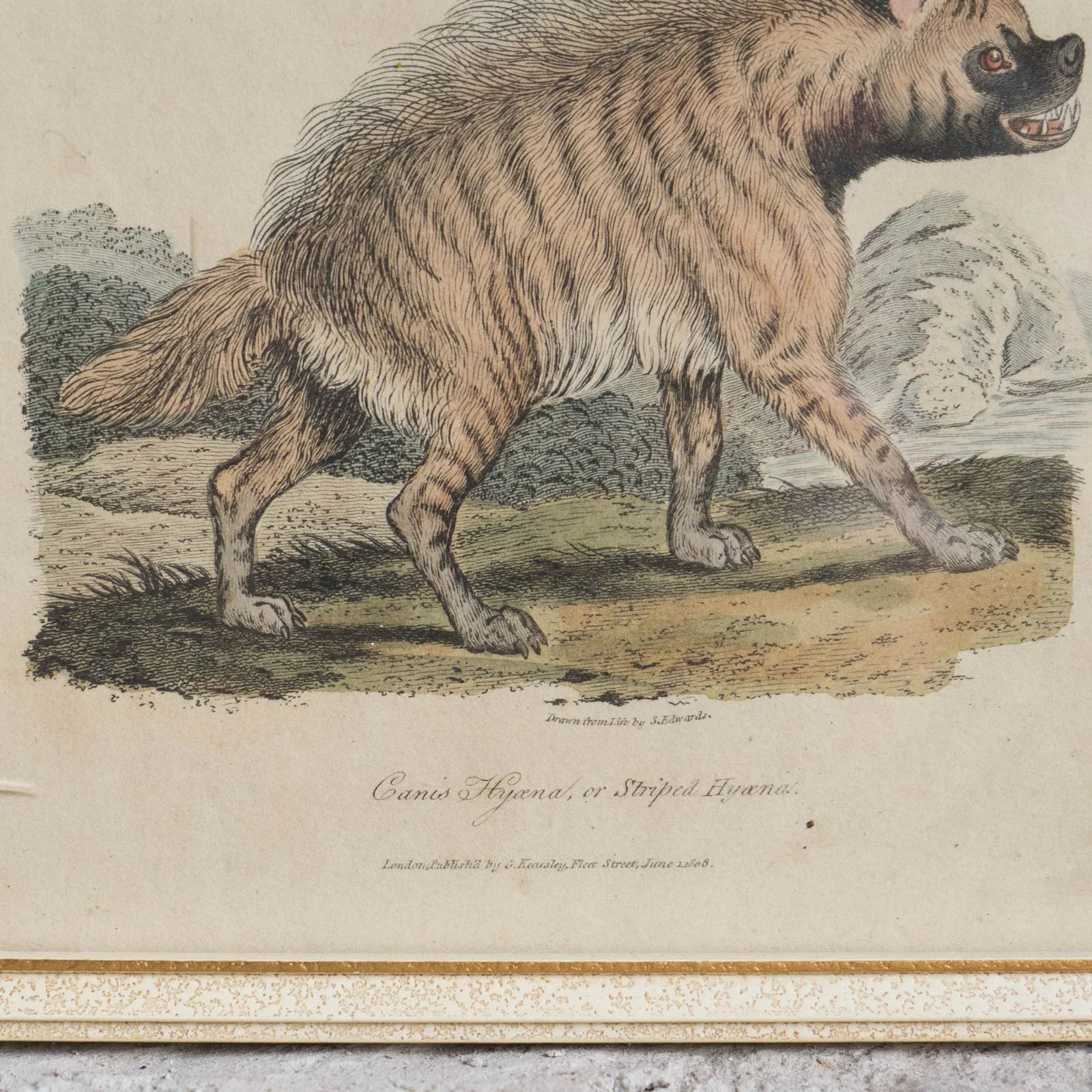 DSC09761f.jpg (Copy)