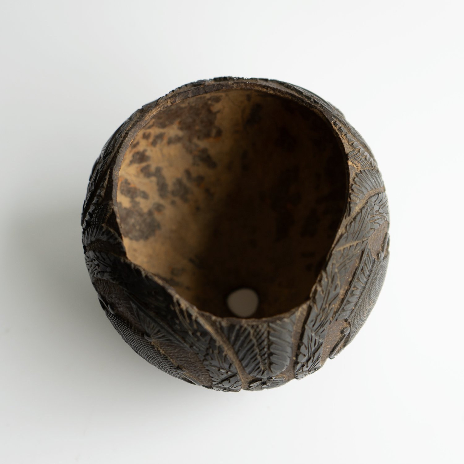 DSC02200f.jpg (Copy)