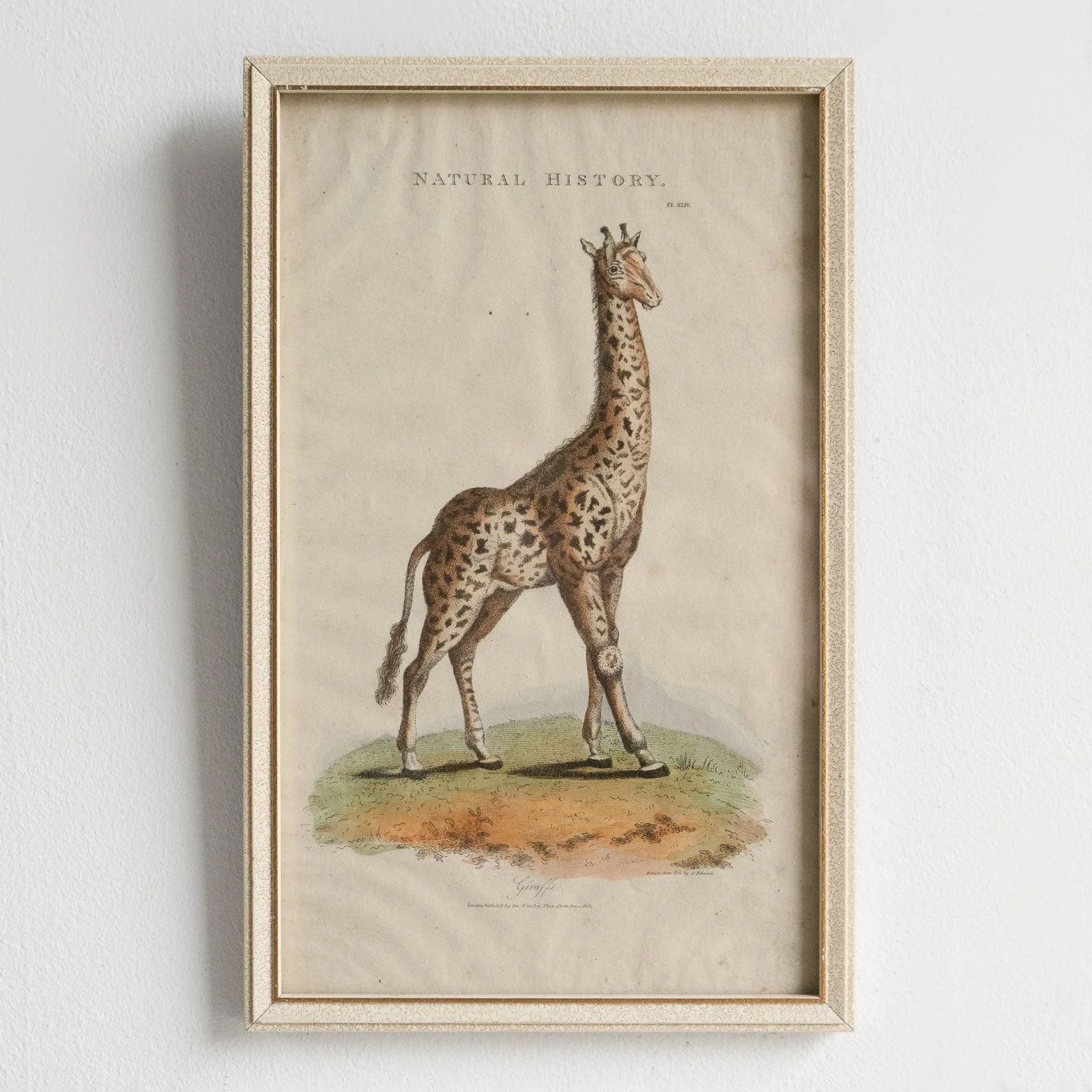 DSC09791-alt-3.jpg (Copy)