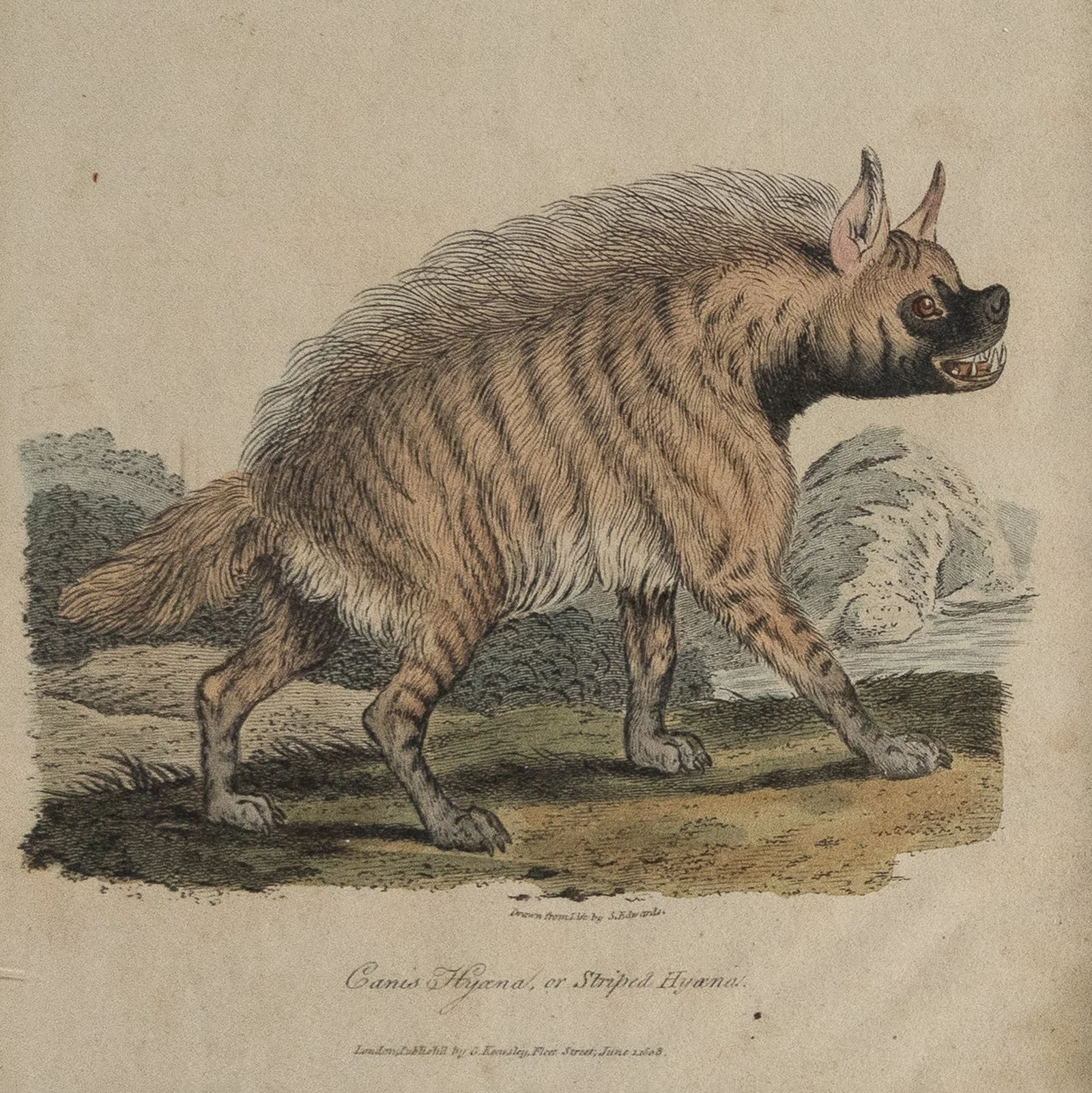 DSC09807f.jpg (Copy)