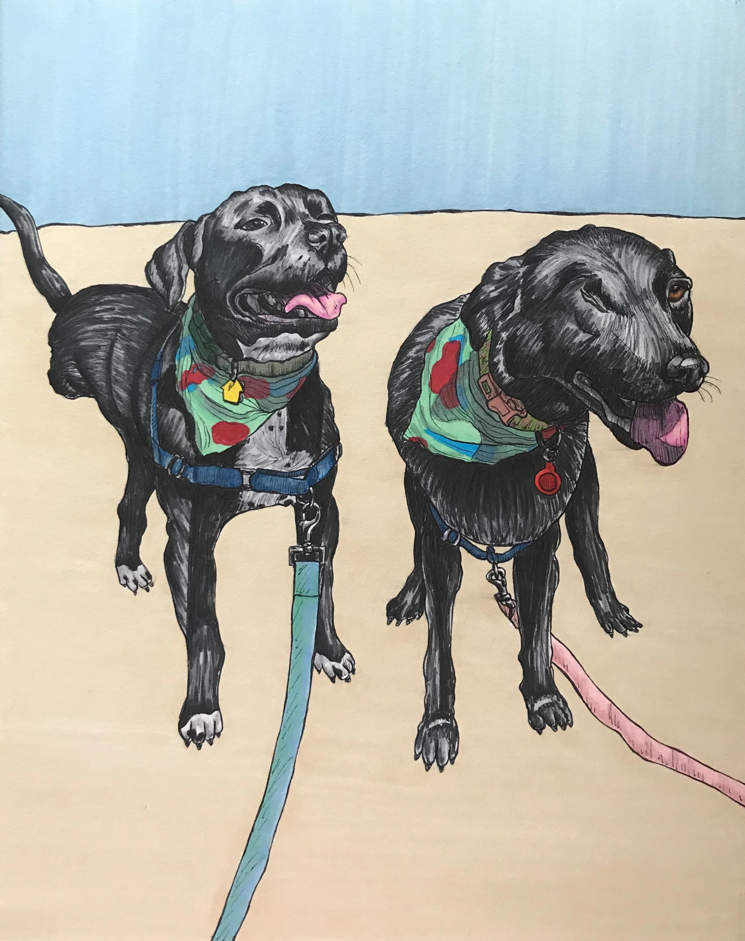 Duncan and Daisy