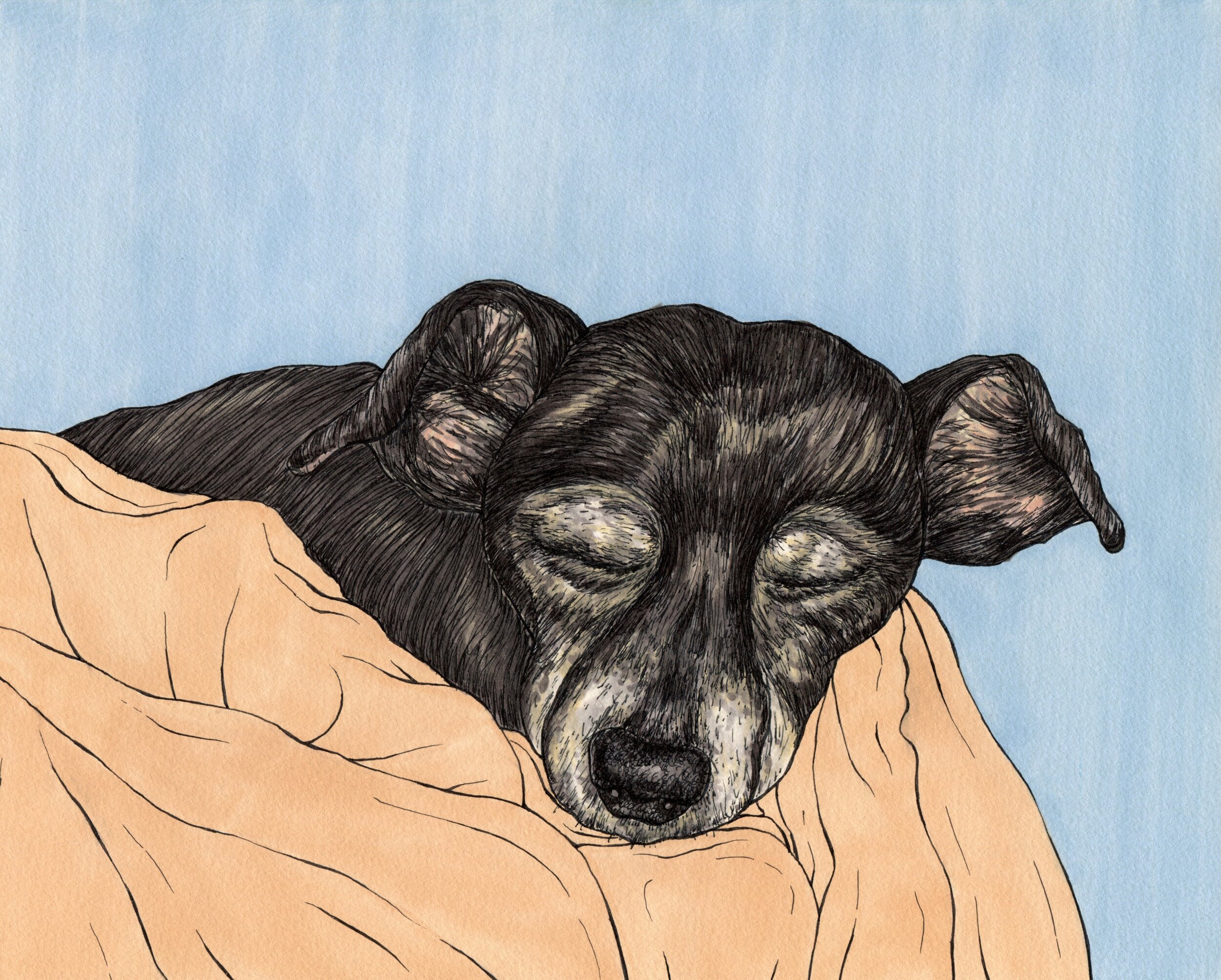 Sleepy