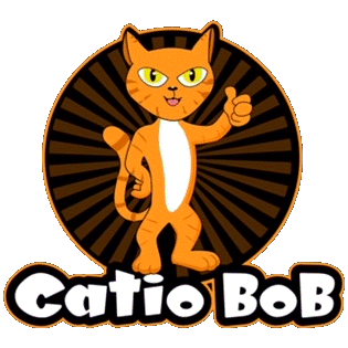 Catio Bob The Catio Builder