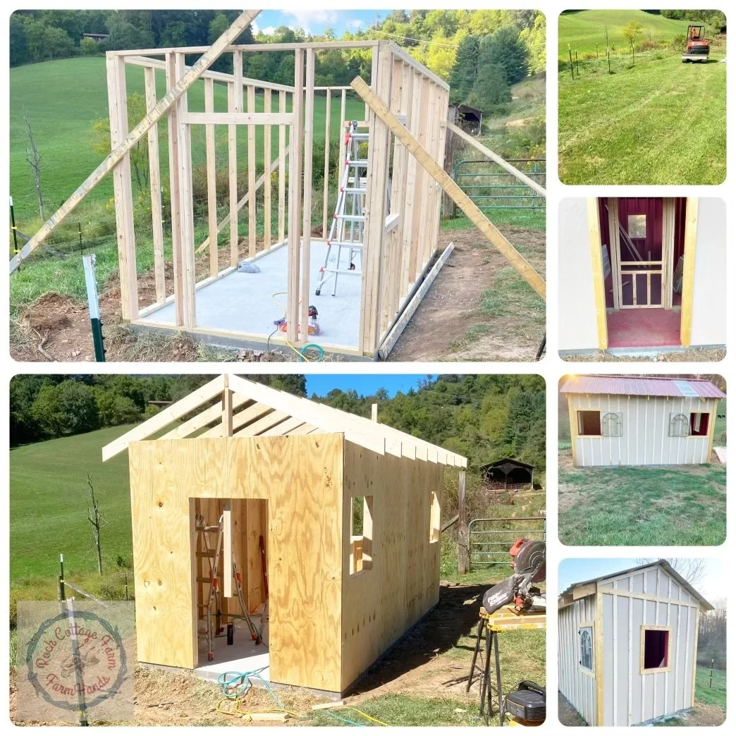 eZy Watermark_12-08-2024_04-59-25-7660PM.jpeg