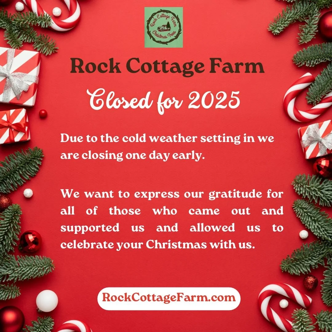 Thank you to all who came and let us celebrate Christmas with you. With the cold and wind today we have made the decision to close the season early. We have a few trees left, so if you are still interested in getting one please message us and we will