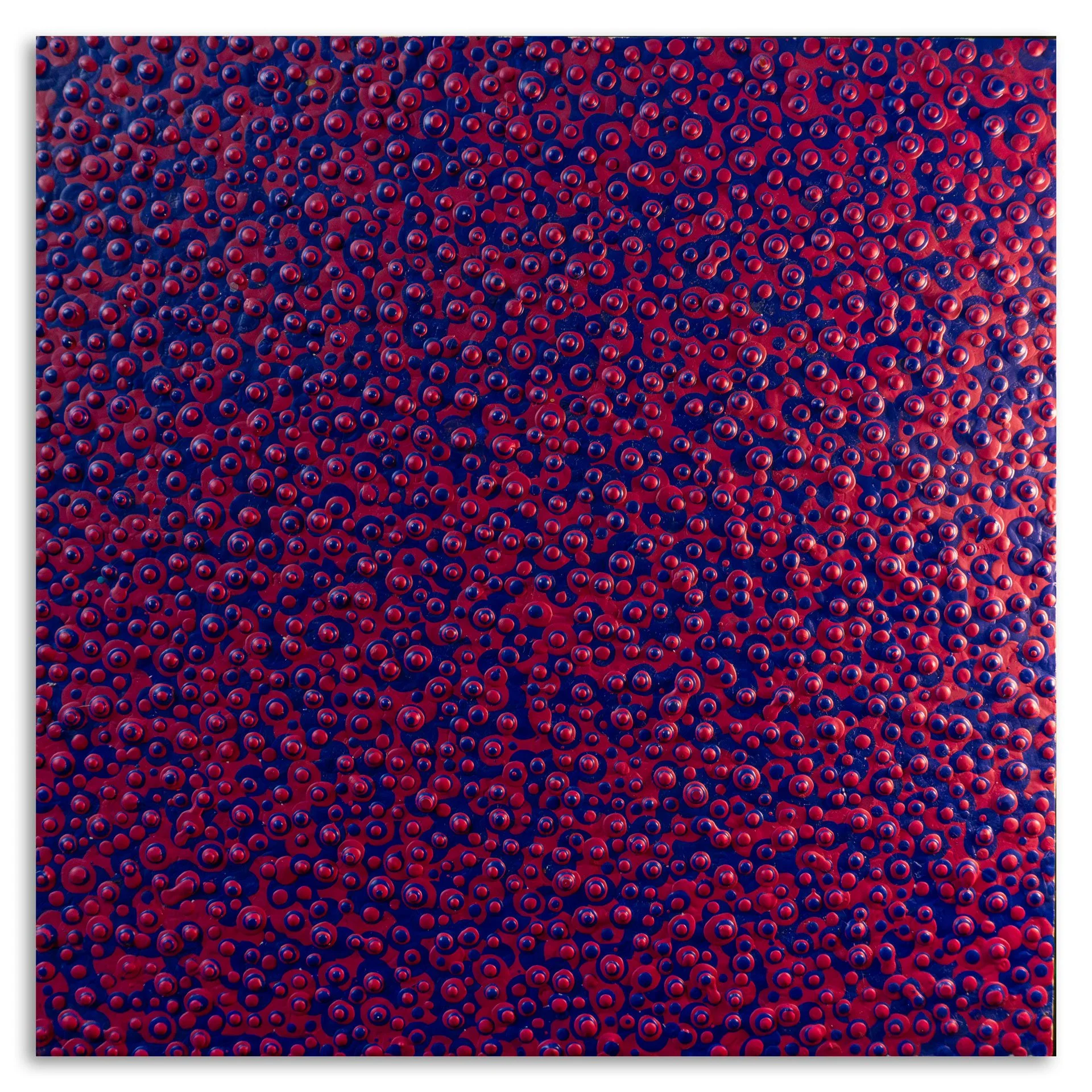 noj-barker-red-blue-30cm.jpg