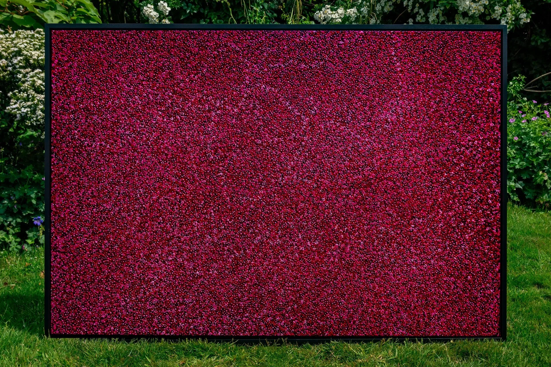 Magenta XL