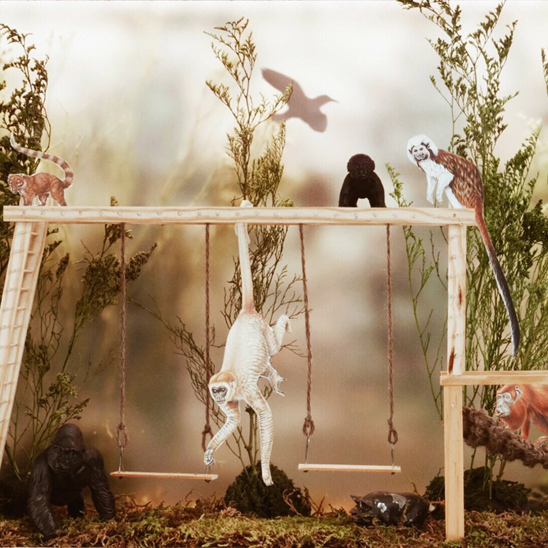 One of our bespoke miniature dioramas for @moomah 

#miniature #diorama #shadowbox #monkey #playground #smallart #tiny #art