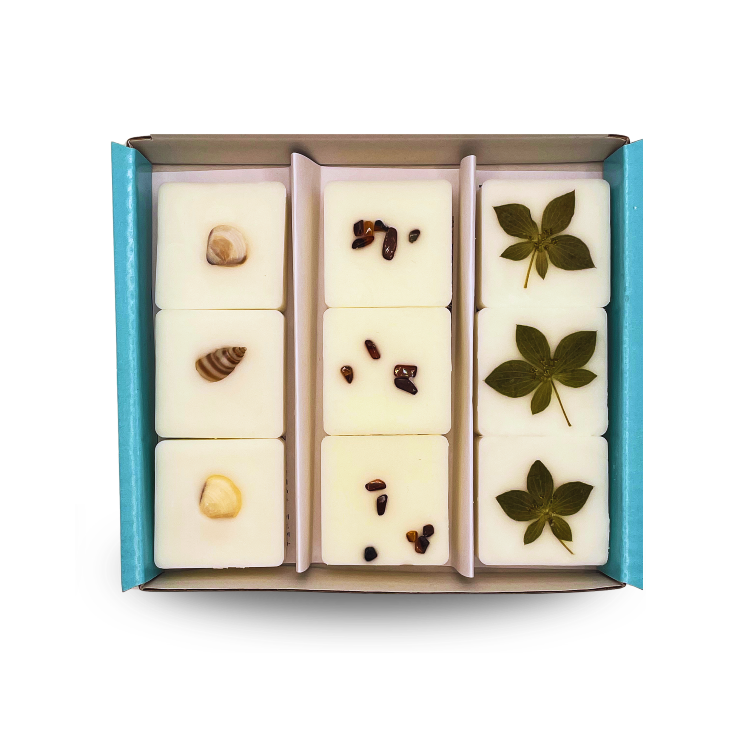 Cutch With Nature Collection Box Contents.png
