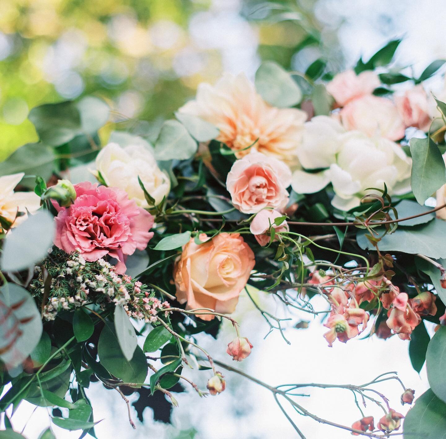 Sometimes, you just need to see some pretty flowers. I was just looking through our wedding photos and still can&rsquo;t get over how beautiful our flowers were from @emmarosefloral !! 💕✨🌸