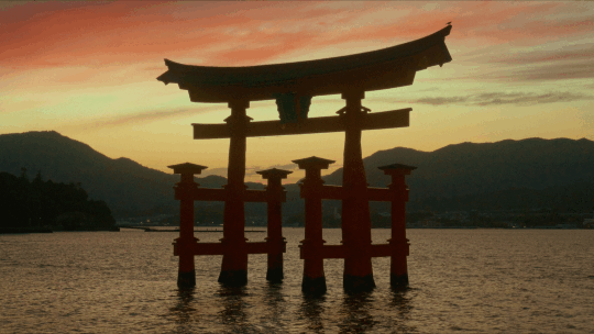 Japan Travelogues