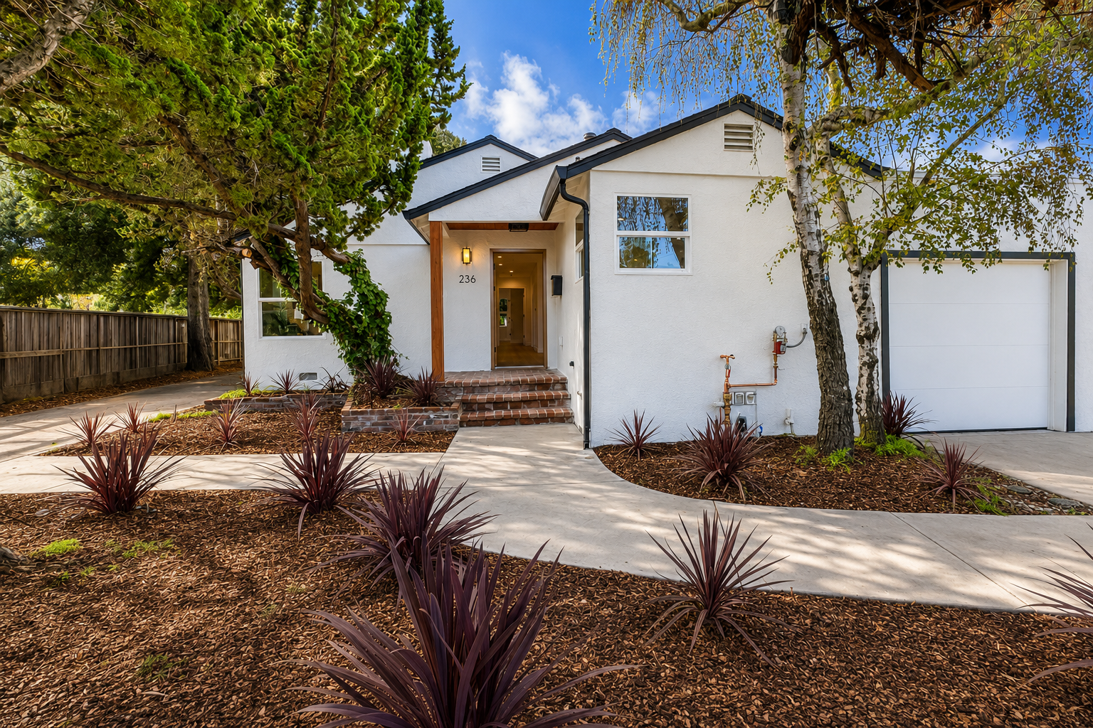 San Mateo Complete Remodel (3).png