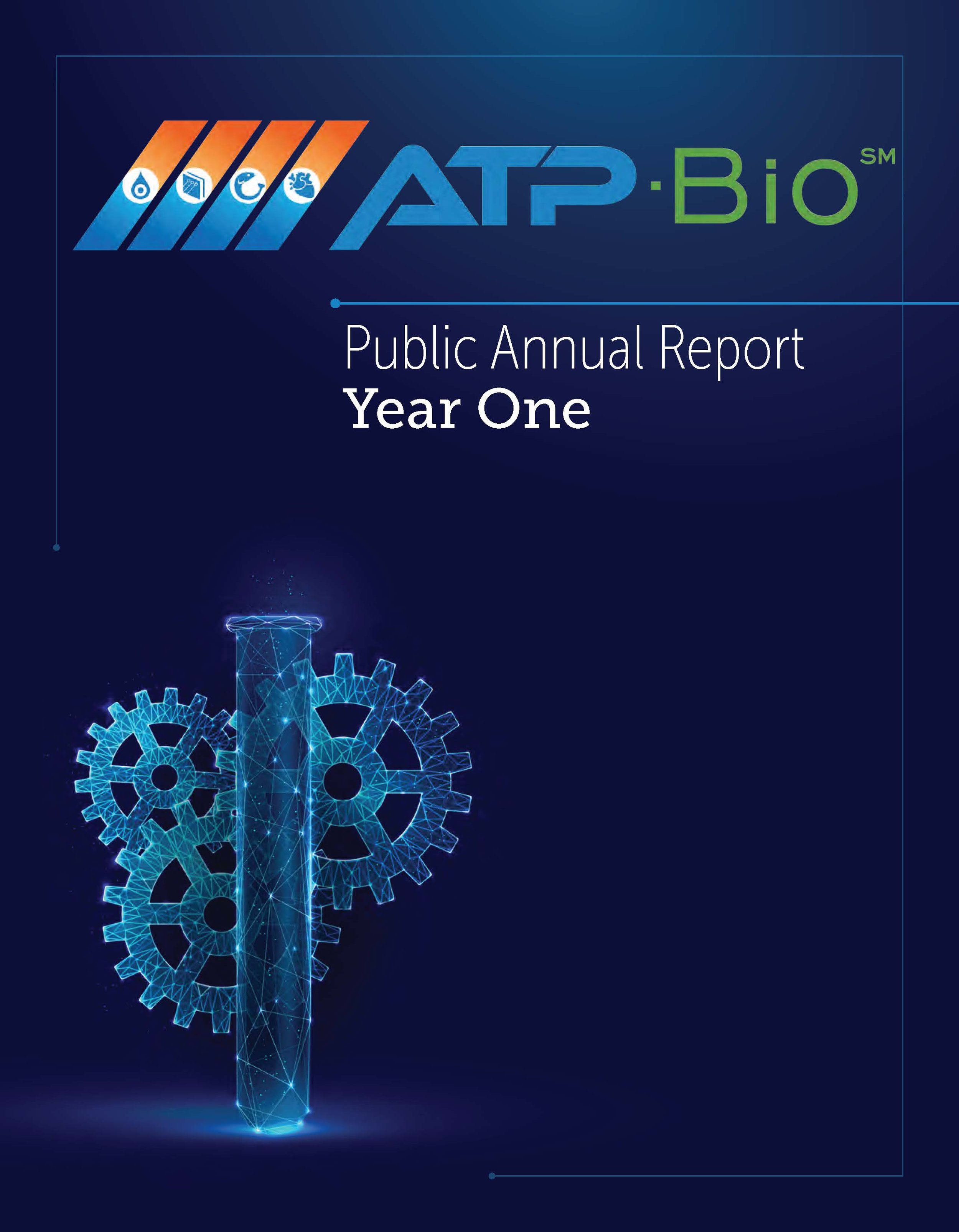 YEAR 1 - Public Annual Report