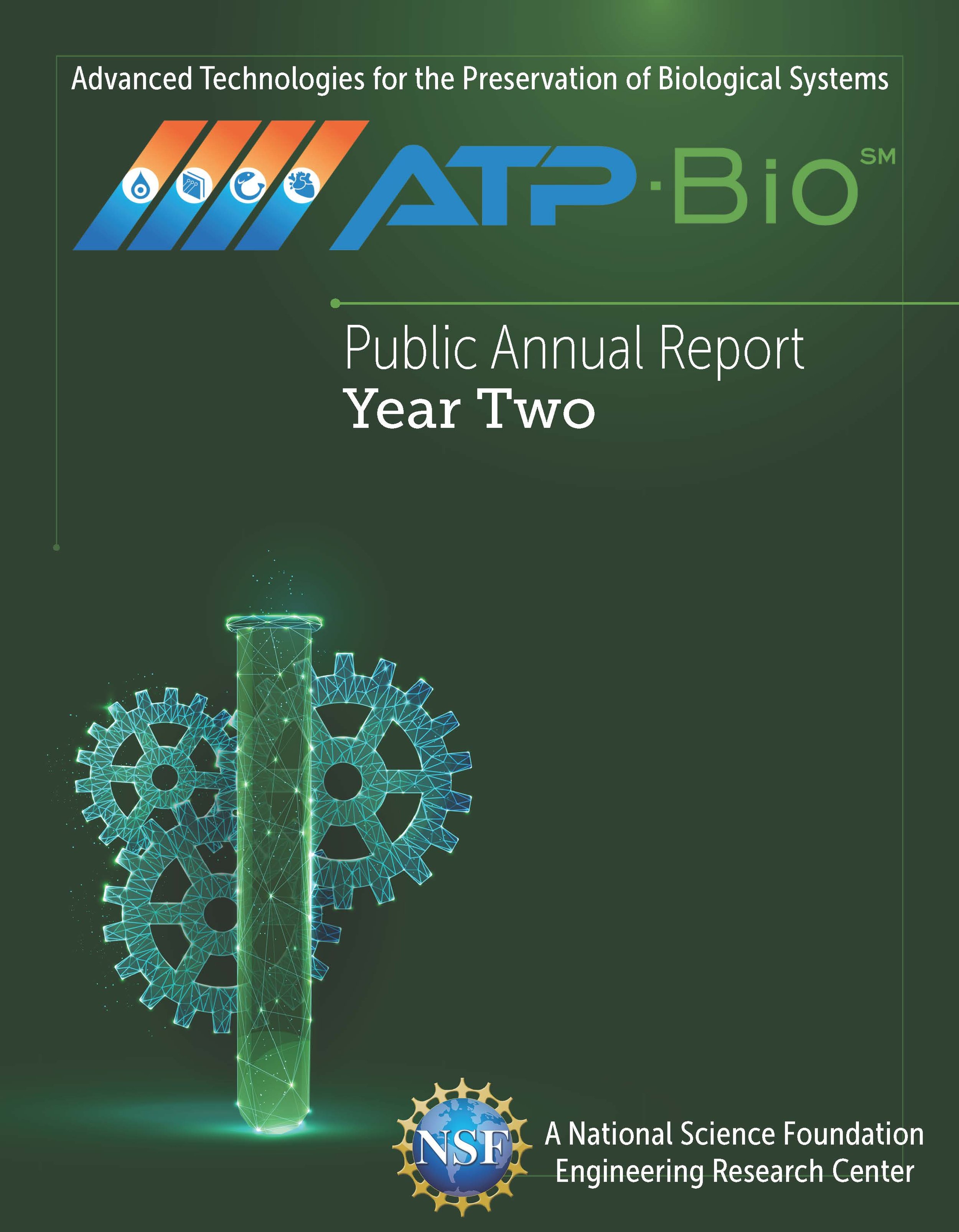 YEAR 2 - Public Annual Report