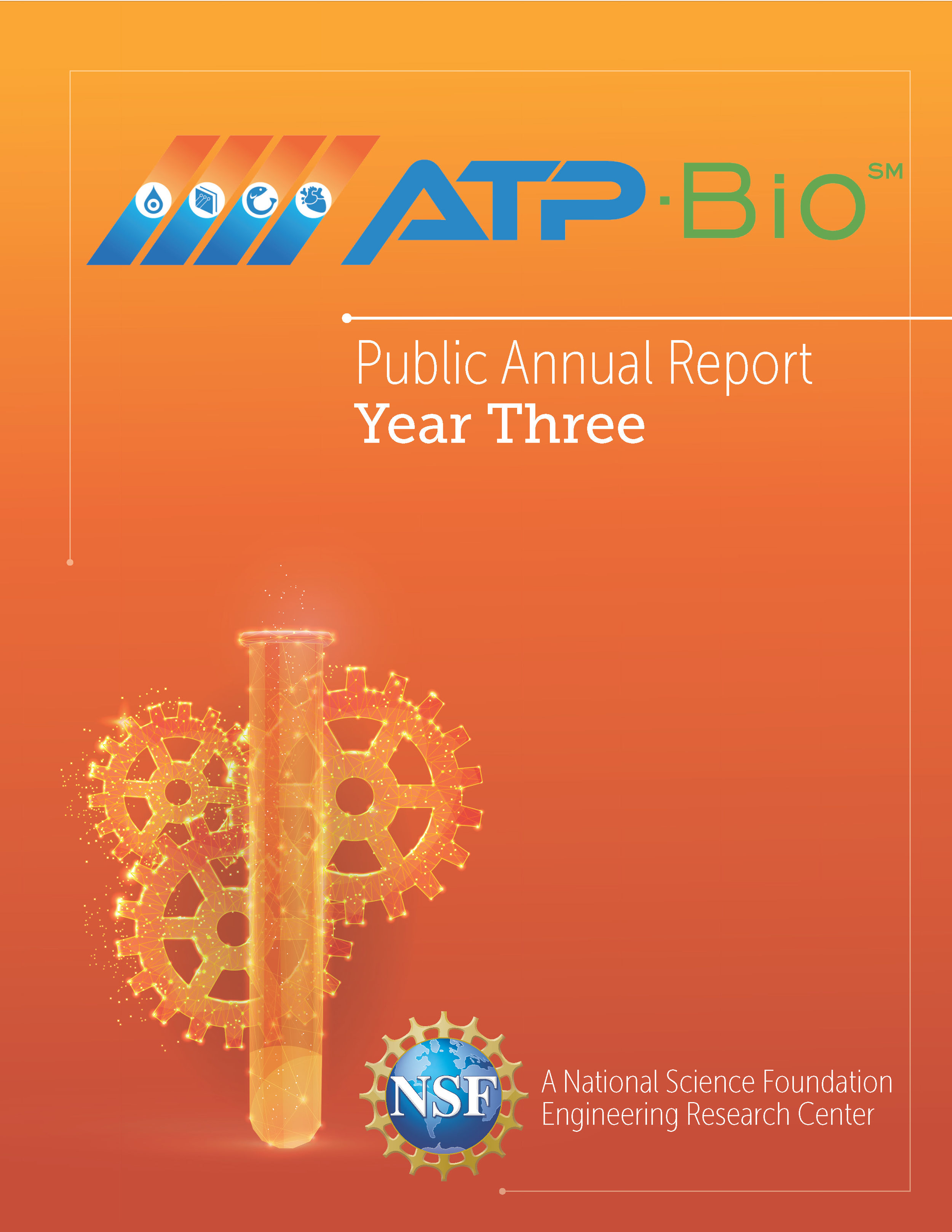 YEAR 3 - Public Annual Report