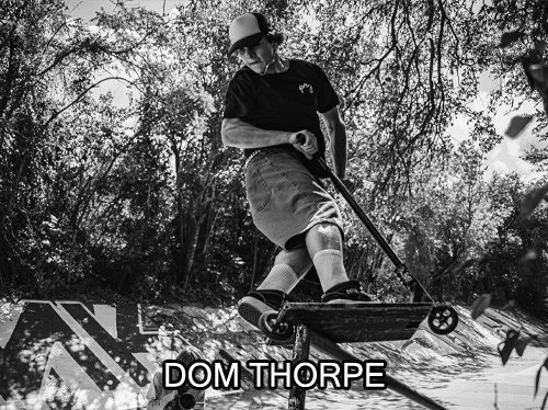 Dom
