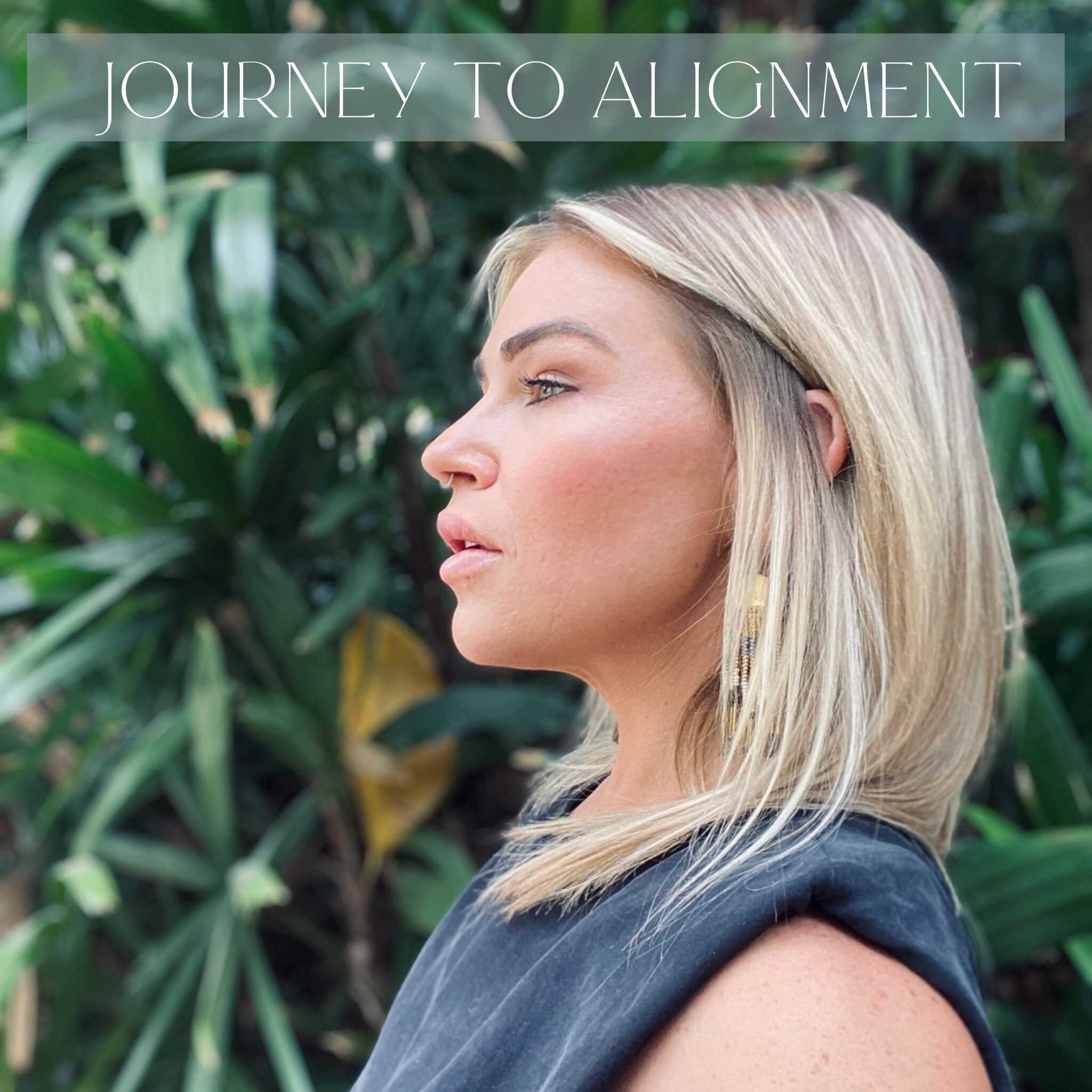 Introduction: What is Journey to Alignment