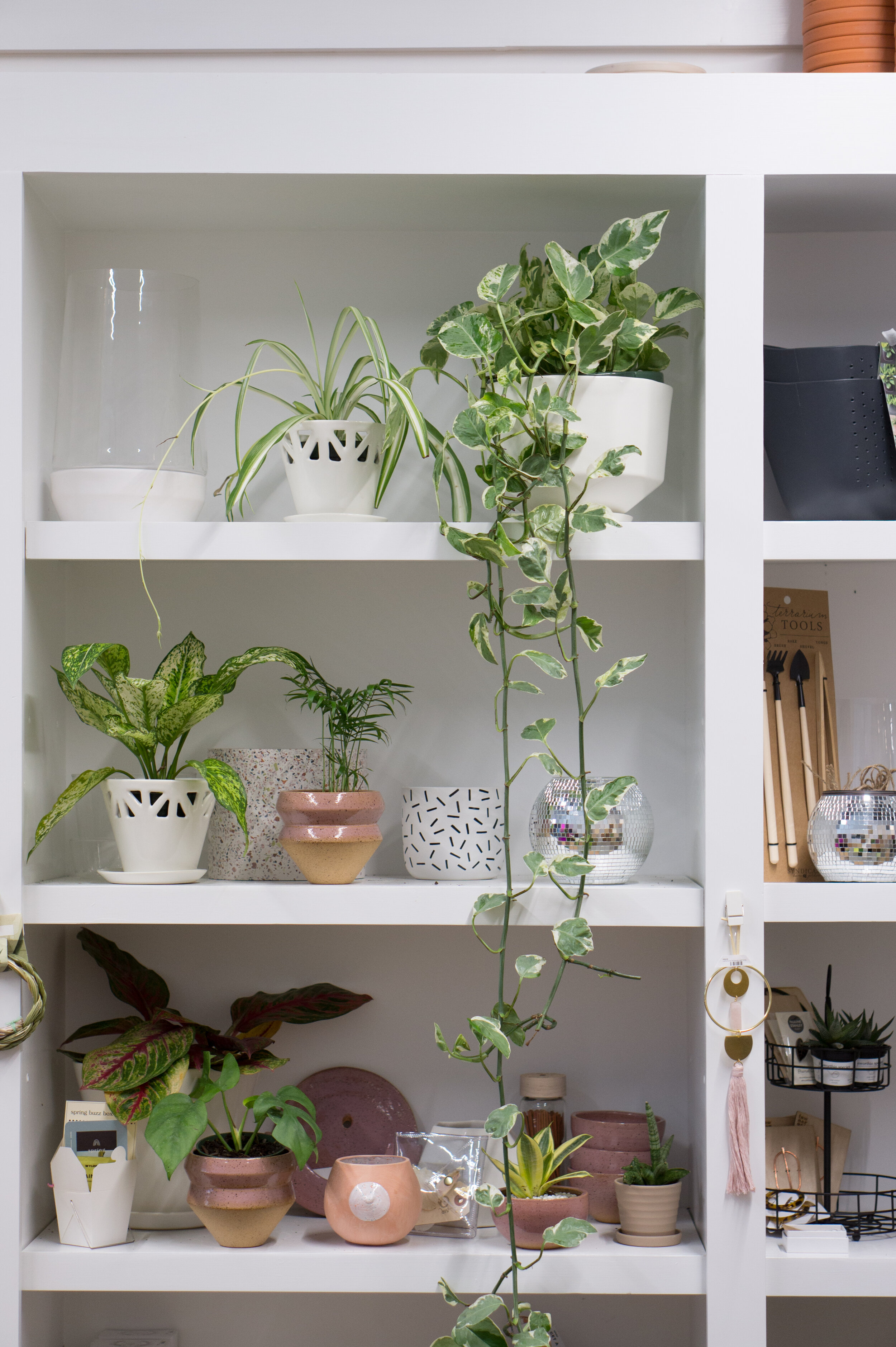 Plant Shelf BEFORE.jpg