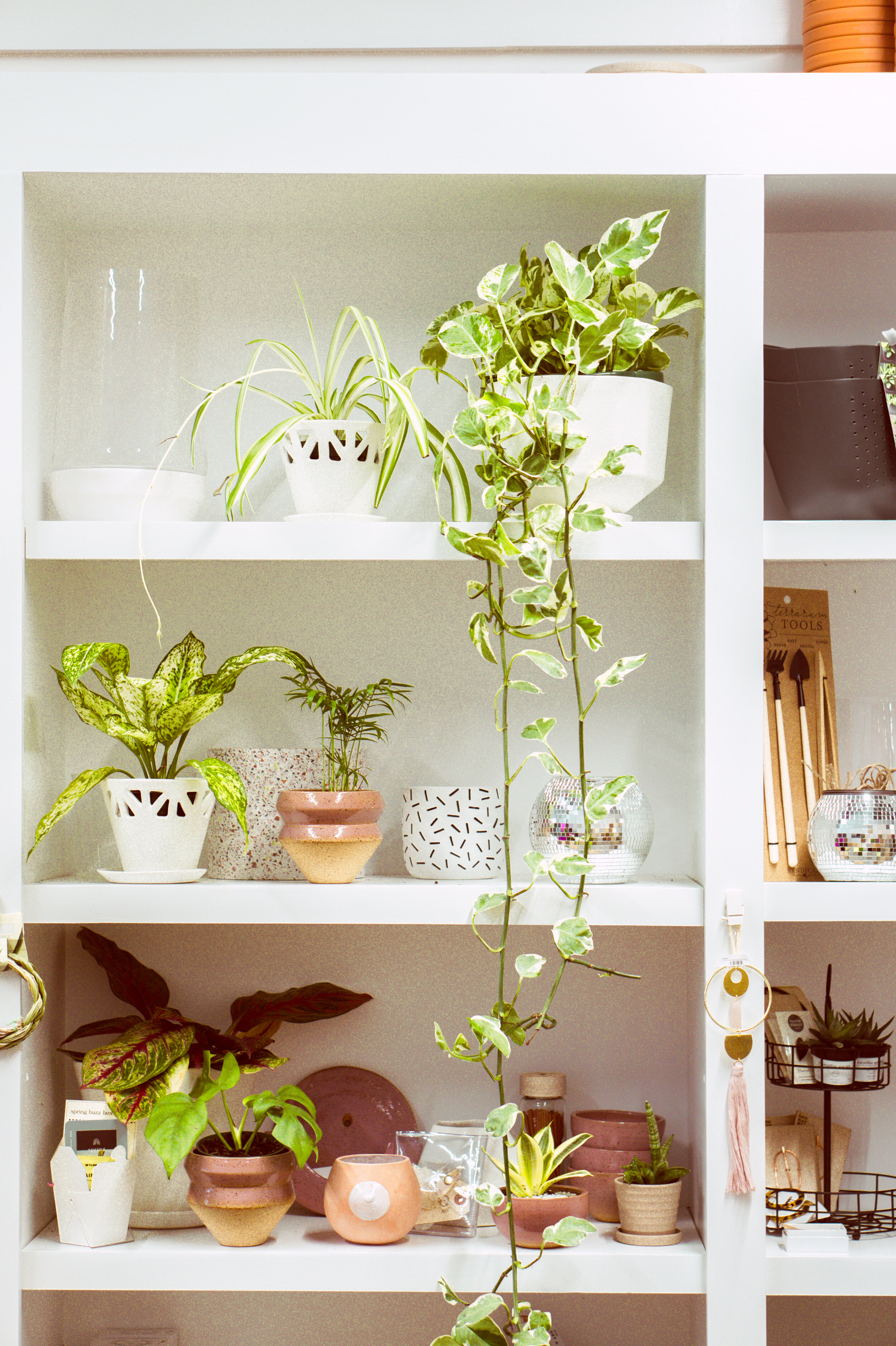 Plant Shelf SEVENTIES.jpg