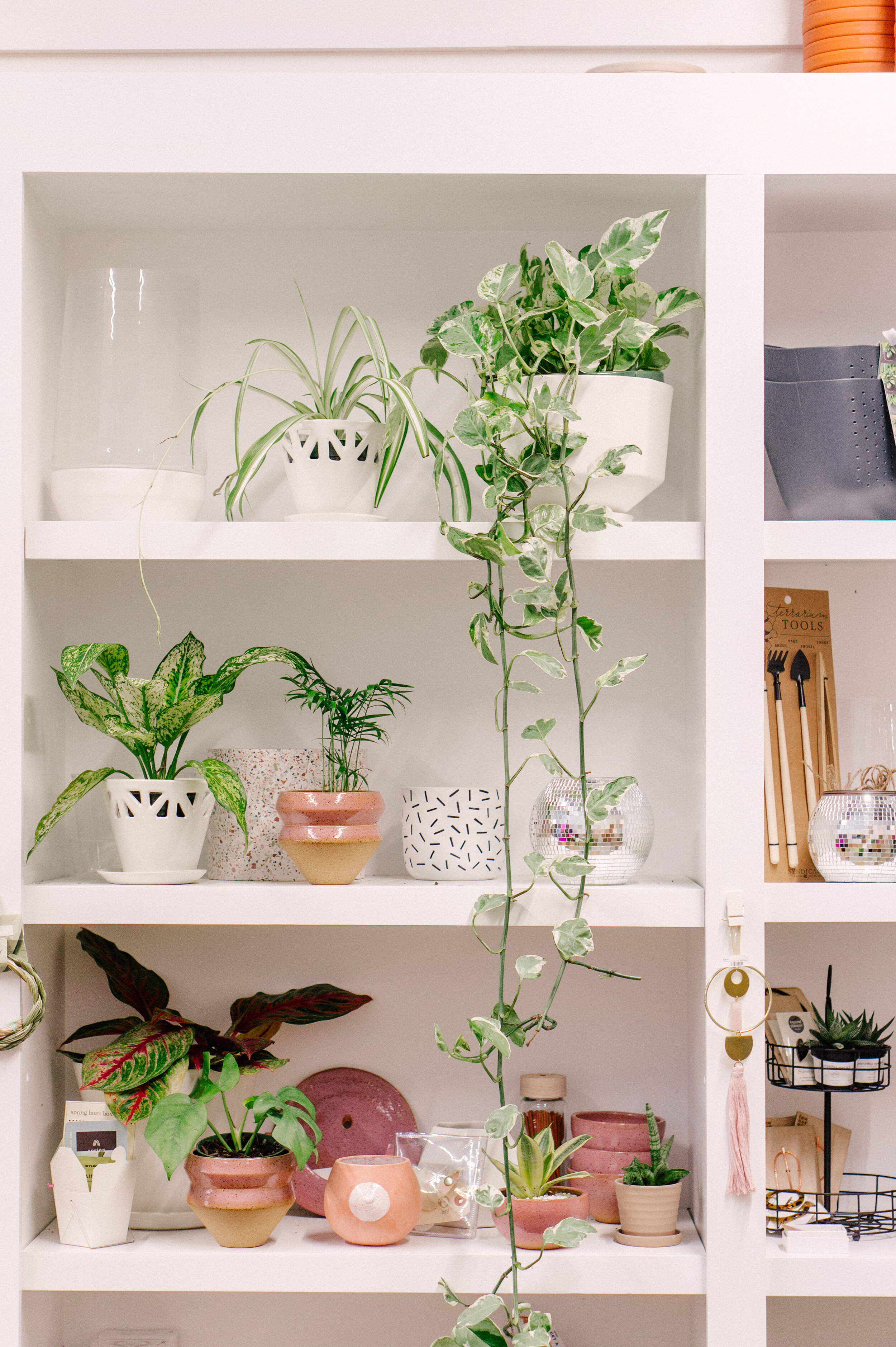 Plant Shelf MID GRN.jpg