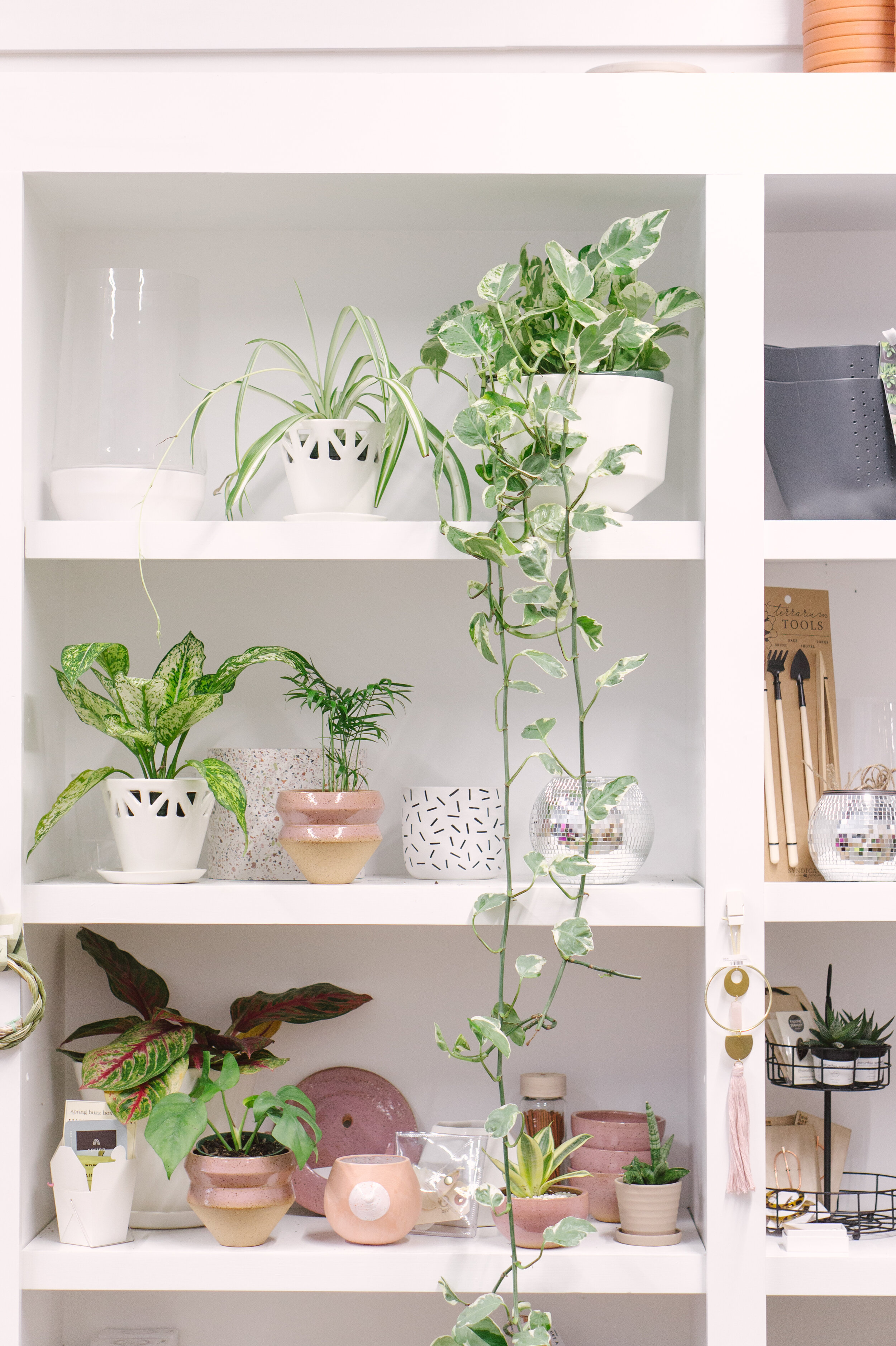 Plant Shelf PARIS MORNING BRIGHT.jpg