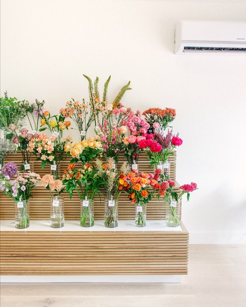 Meet the Client: Wild Valentine Co. | Visit Portsmouth, NH  Alexis The  Greek Photography