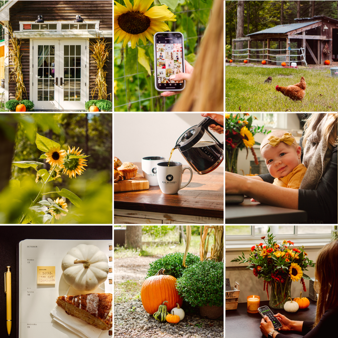 Fox and Flora Fall Farmhouse grid 01.png