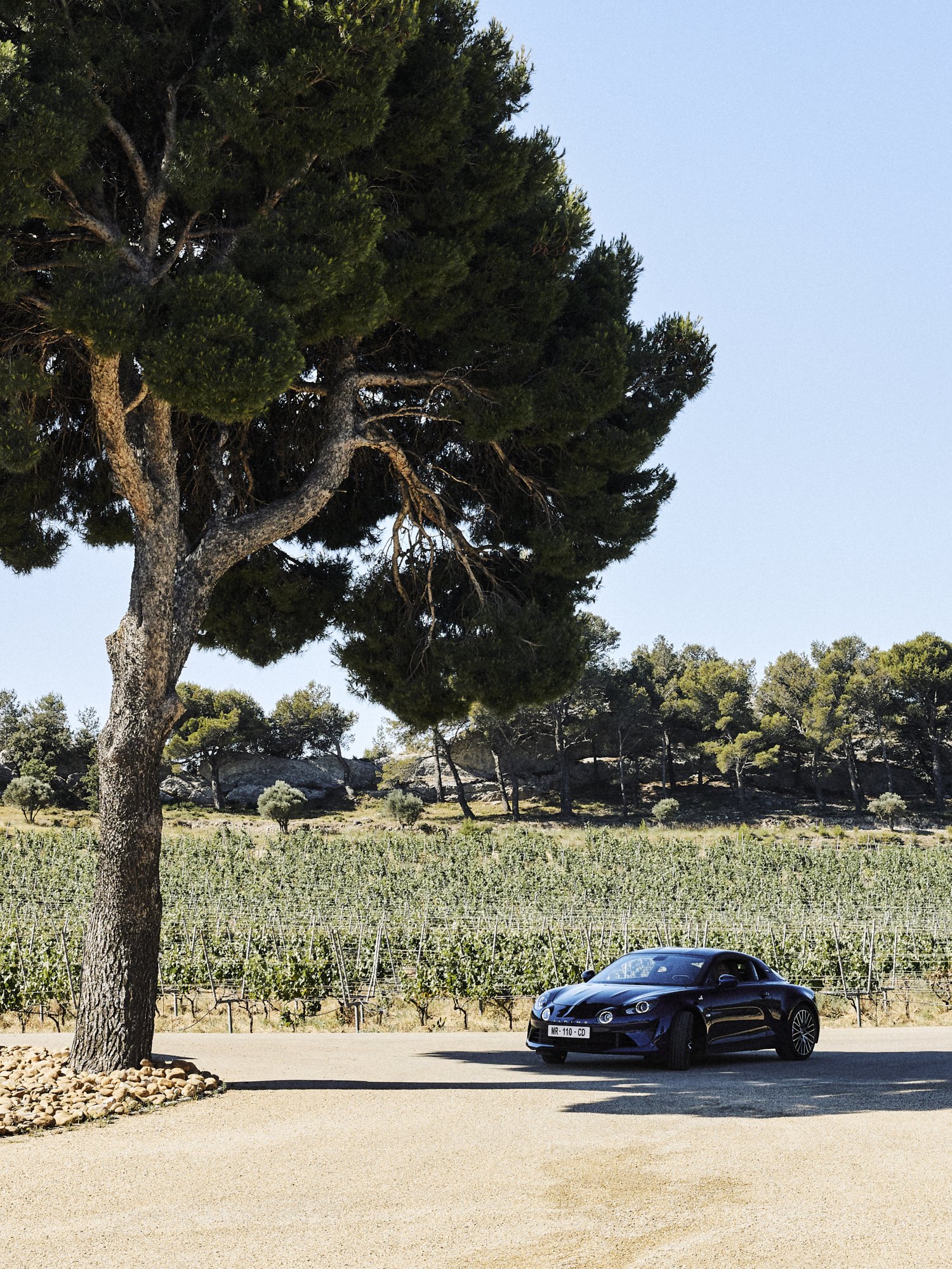 210705_Alpine_Prost_0200.jpg