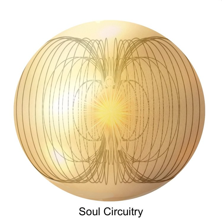 Soul Modules 12 Dimensions — Dr. Cynthia Miller