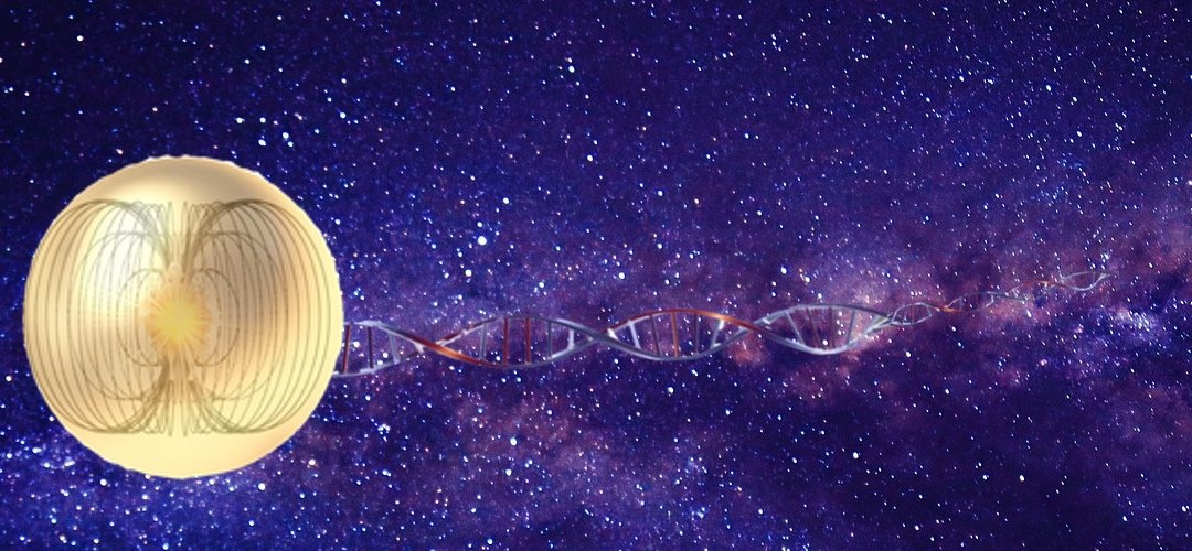 travel the cosmos on strands of DNA in your Lightframe Dr Cynthia MIller