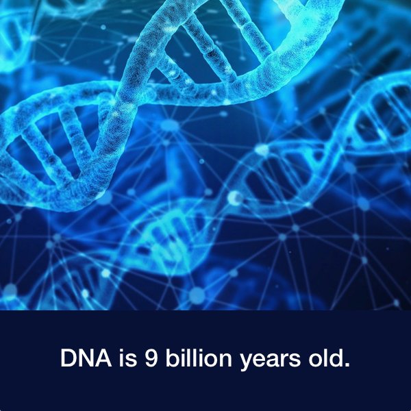 DNA is 9 billion years old