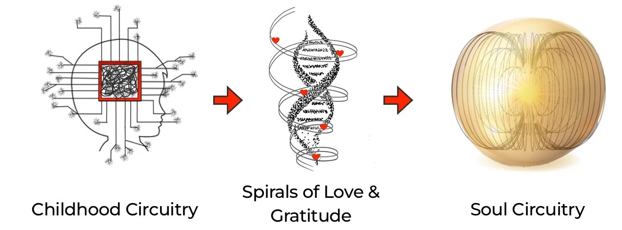Diagram showing the evolution from childhood circuitry to soul circuitry, passing through spirals of love and gratitude