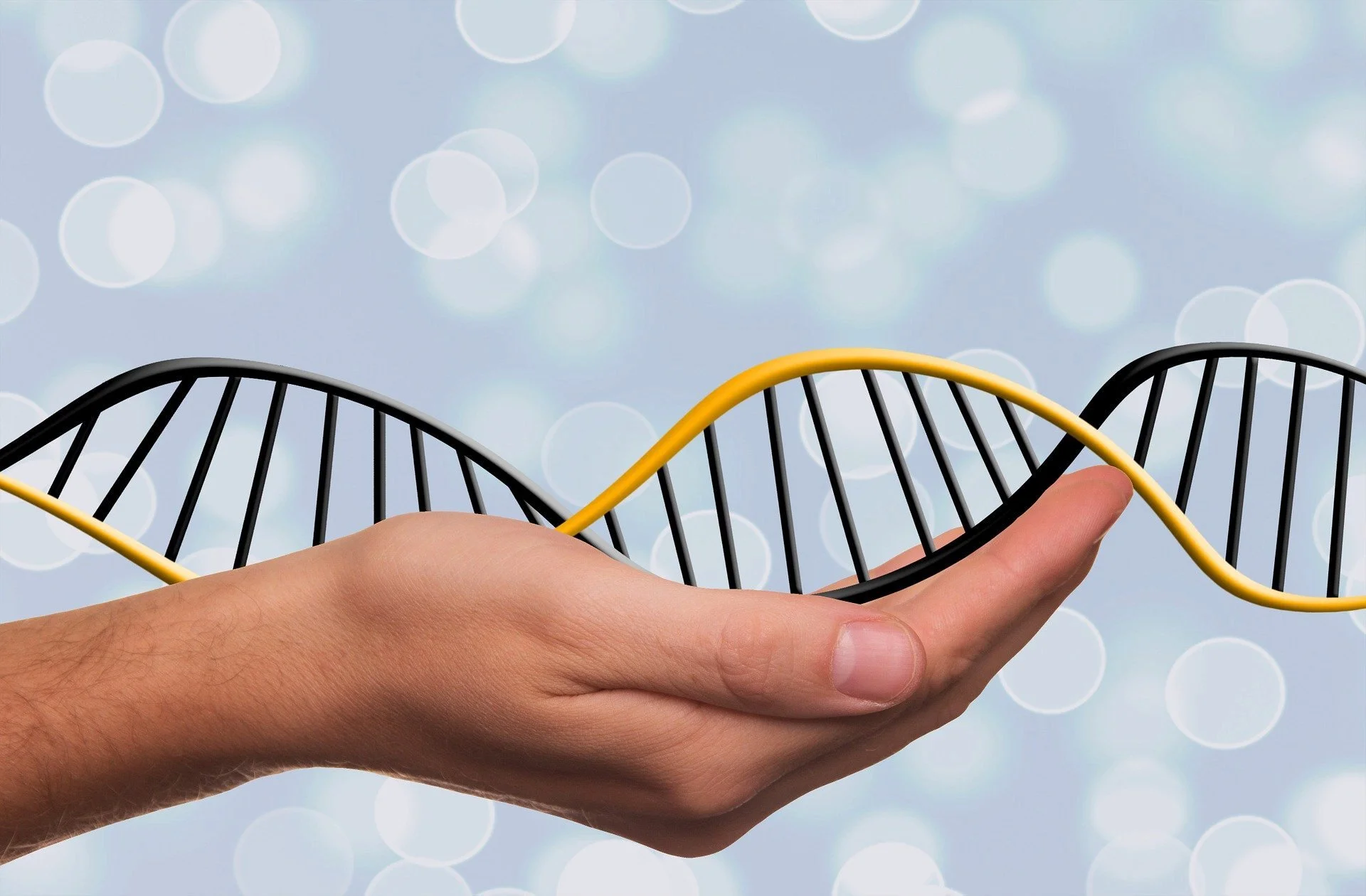 A hand holding a 3D schematic of a DNA double helix with a background of blurred light circles.