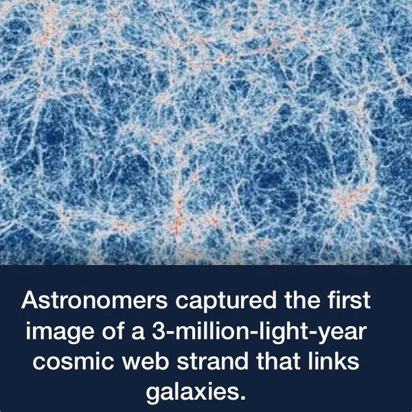 cosmic web strand