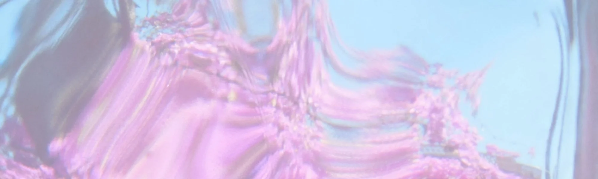 THe Art of Radical Gratitude - your guide to love, joy, and abundance