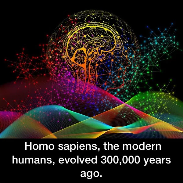 Humans evolved 300,000 years ago